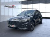 Ford Kuga bei Sportwagen.expert - Abbildung (2 / 15)