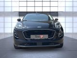 Ford Puma bei Sportwagen.expert - Abbildung (7 / 15)