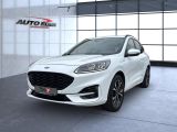 Ford Kuga bei Sportwagen.expert - Abbildung (2 / 15)