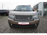 Land Rover Range Rover bei Sportwagen.expert - Abbildung (3 / 15)