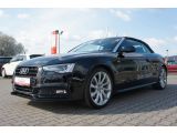 Audi A5 Cabriolet bei Sportwagen.expert - Abbildung (5 / 15)