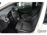 Mercedes-Benz B-Klasse bei Sportwagen.expert - Abbildung (7 / 15)