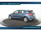 Ford Focus bei Sportwagen.expert - Abbildung (6 / 15)