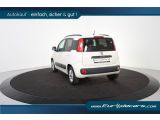 Fiat Panda bei Sportwagen.expert - Abbildung (6 / 15)