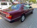 Mercedes-Benz 230 bei Sportwagen.expert - Abbildung (5 / 11)