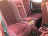 Mercedes-Benz 230 bei Sportwagen.expert - Abbildung (8 / 11)