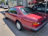 Mercedes-Benz 230 bei Sportwagen.expert - Abbildung (3 / 11)