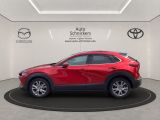 Mazda CX-30 bei Sportwagen.expert - Abbildung (2 / 15)