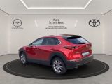 Mazda CX-30 bei Sportwagen.expert - Abbildung (3 / 15)