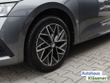 Skoda Octavia bei Sportwagen.expert - Abbildung (11 / 15)