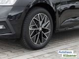 Skoda Octavia bei Sportwagen.expert - Abbildung (11 / 15)