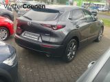 Mazda CX-30 bei Sportwagen.expert - Abbildung (4 / 15)