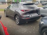 Mazda CX-30 bei Sportwagen.expert - Abbildung (5 / 15)