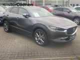 Mazda CX-30 bei Sportwagen.expert - Abbildung (2 / 15)