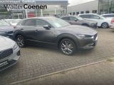 Mazda CX-30 bei Sportwagen.expert - Abbildung (3 / 15)