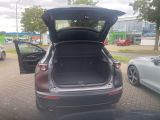 Mazda CX-30 bei Sportwagen.expert - Abbildung (13 / 15)