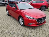 Mazda 3 bei Sportwagen.expert - Abbildung (6 / 15)