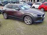 Mazda CX-30 bei Sportwagen.expert - Abbildung (5 / 14)