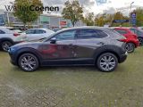 Mazda CX-30 bei Sportwagen.expert - Abbildung (3 / 14)