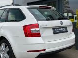 Skoda Octavia bei Sportwagen.expert - Abbildung (5 / 15)