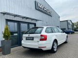 Skoda Octavia bei Sportwagen.expert - Abbildung (6 / 15)