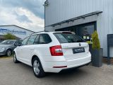 Skoda Octavia bei Sportwagen.expert - Abbildung (4 / 15)