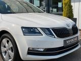 Skoda Octavia bei Sportwagen.expert - Abbildung (8 / 15)