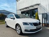 Skoda Octavia bei Sportwagen.expert - Abbildung (7 / 15)