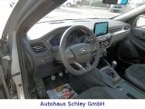 Ford Kuga bei Sportwagen.expert - Abbildung (6 / 15)