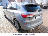 Ford Kuga bei Sportwagen.expert - Abbildung (4 / 15)
