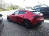 Mazda 3 bei Sportwagen.expert - Abbildung (4 / 15)