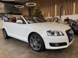 Audi A3 Cabriolet bei Sportwagen.expert - Abbildung (6 / 15)