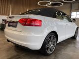 Audi A3 Cabriolet bei Sportwagen.expert - Abbildung (3 / 15)