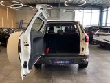 Ford EcoSport bei Sportwagen.expert - Abbildung (14 / 15)