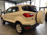 Ford EcoSport bei Sportwagen.expert - Abbildung (3 / 15)