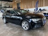 Audi A4 bei Sportwagen.expert - Abbildung (3 / 15)