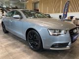 Audi A5 Sportback bei Sportwagen.expert - Abbildung (3 / 15)