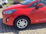Ford Fiesta bei Sportwagen.expert - Abbildung (5 / 15)