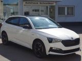 Skoda Scala bei Sportwagen.expert - Abbildung (4 / 15)
