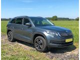 Skoda Kodiaq bei Sportwagen.expert - Abbildung (2 / 15)