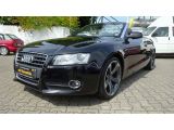 Audi A5 Cabriolet bei Sportwagen.expert - Abbildung (4 / 13)