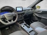Ford Kuga bei Sportwagen.expert - Abbildung (12 / 15)