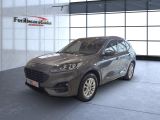 Ford Kuga bei Sportwagen.expert - Abbildung (2 / 15) Ford Kuga bei Sportwagen.expert - Abbildung (2 / 15)