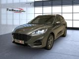Ford Kuga bei Sportwagen.expert - Abbildung (2 / 14) Ford Kuga bei Sportwagen.expert - Abbildung (2 / 14)