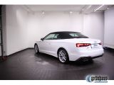 Audi S5 bei Sportwagen.expert - Abbildung (2 / 15)