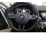 Skoda Kodiaq bei Sportwagen.expert - Abbildung (10 / 15)