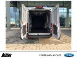 Ford Andere bei Sportwagen.expert - Abbildung (9 / 15)