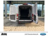 Ford Andere bei Sportwagen.expert - Abbildung (10 / 15)