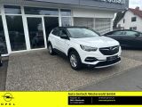 Opel Grandland X bei Sportwagen.expert - Abbildung (3 / 15)