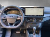 Ford Focus ST bei Sportwagen.expert - Abbildung (13 / 15)
